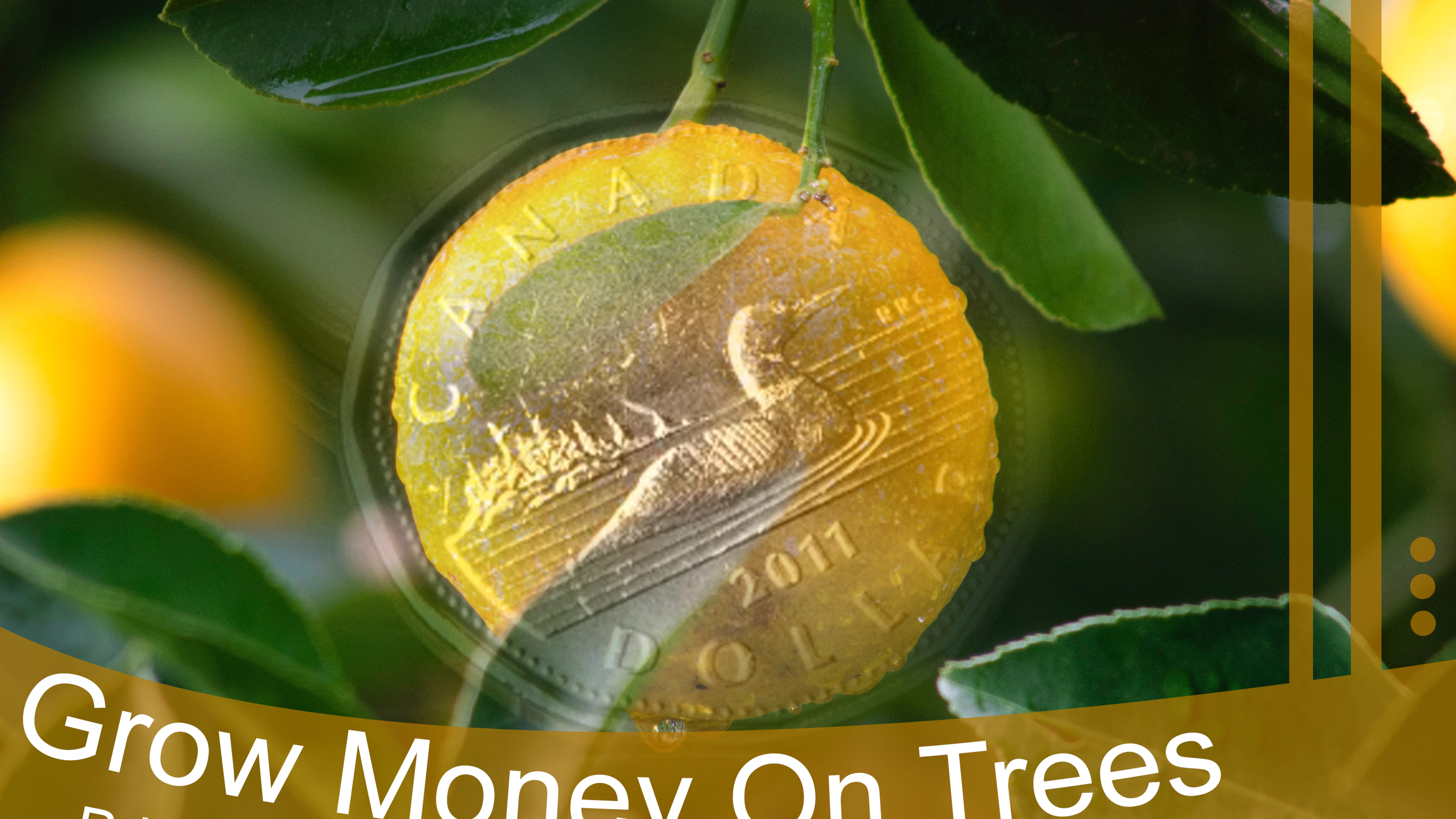 Grow Money on Trees